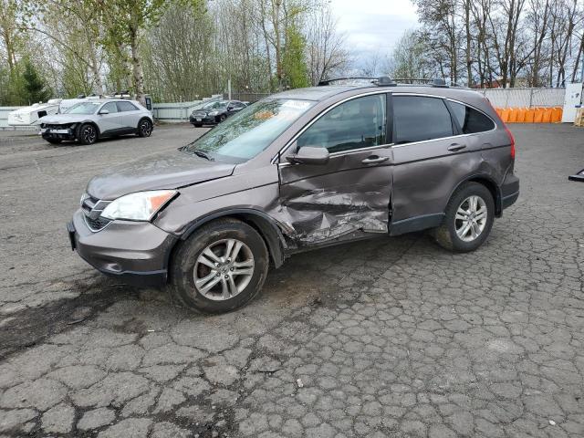 Vin: 5j6re4h77al078951, lot: 52799835, honda crv exl 2010 img_1