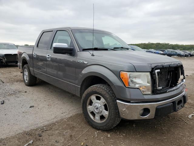 Vin: 1ftew1cm4dkf09821, lot: 54898215, ford f-150 supercrew 20134