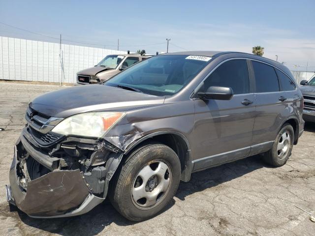 Vin: 5j6re3h38al034061, lot: 54978905, honda crv lx 2010 img_1