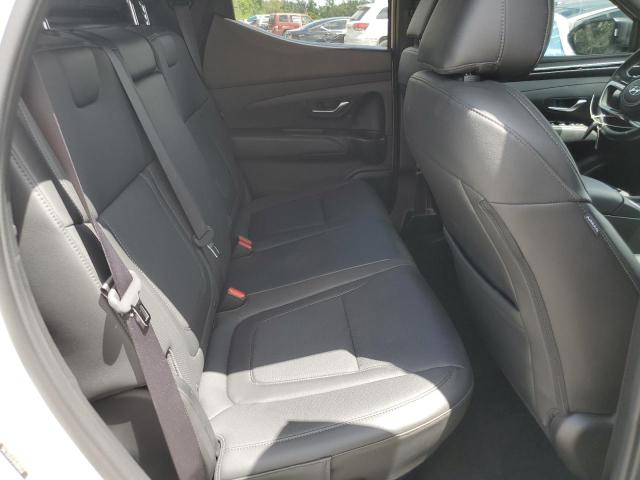 2024 HYUNDAI SANTA CRUZ - 5NTJDDAF6RH098567