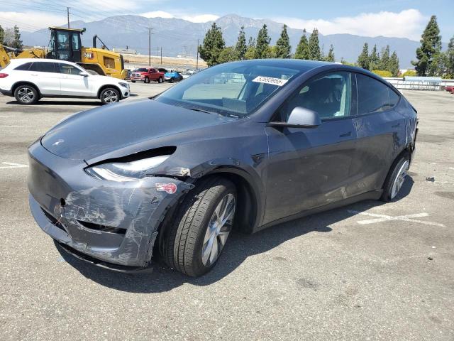 Vin: 7saygdeexpa157332, lot: 52693955, tesla model y 2023 img_1