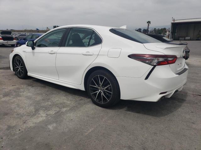 Vin: 4t1g31ak8mu025489, lot: 54186745, toyota camry se 20212