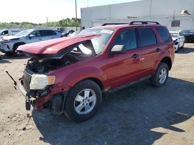 Vin: 1fmcu0d79akb00754, lot: 54877555, ford escape xlt 2010 img_1