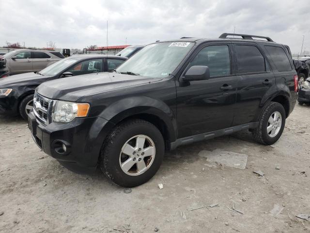 FORD ESCAPE XLT