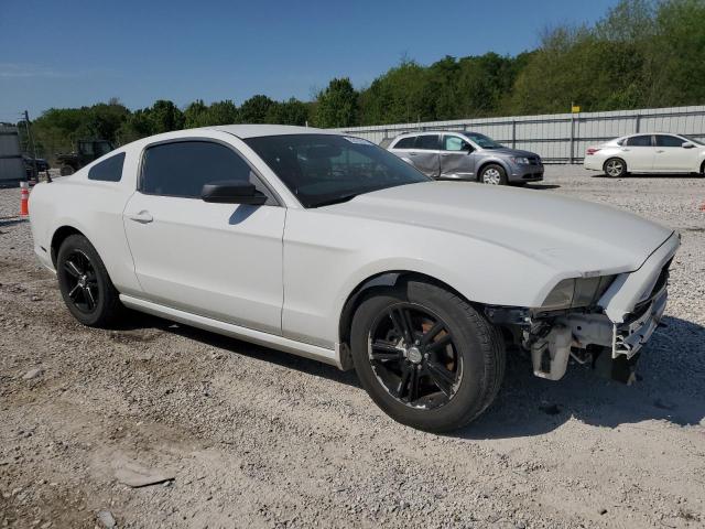 Vin: 1zvbp8am9e5204579, lot: 53128515, ford all models 20144