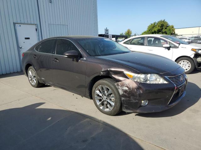 Vin: jthbw1gg3d2029260, lot: 54244645, lexus es300 300h 20134