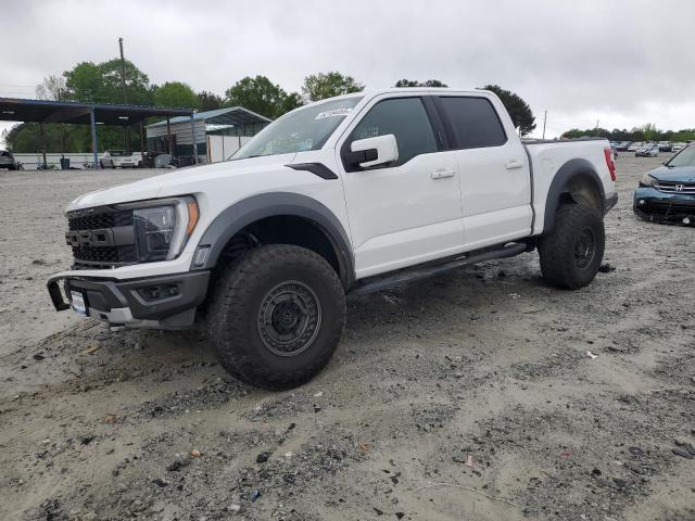 FORD F-150 RAPTOR
