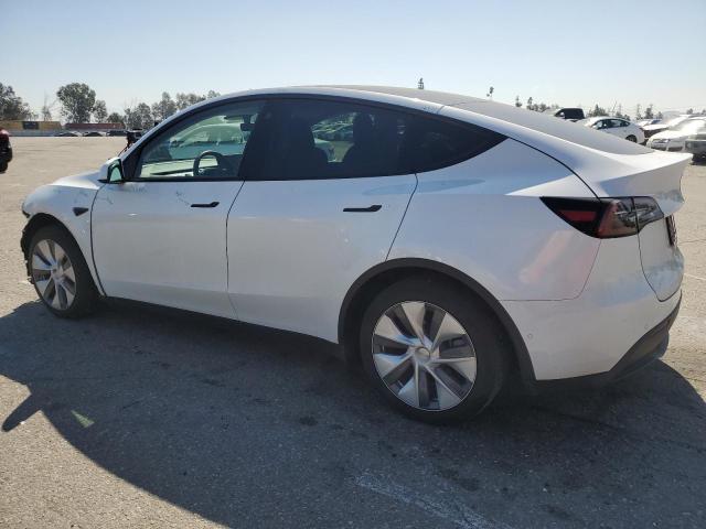 Vin: 5yjygdee9mf153493, lot: 52950485, tesla model y 20212
