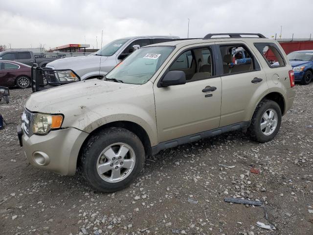 Vin: 1fmcu0d73bka68188, lot: 50789015, ford escape xlt 2011 img_1