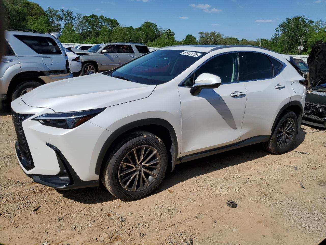LEXUS NX 250 PREMIUM