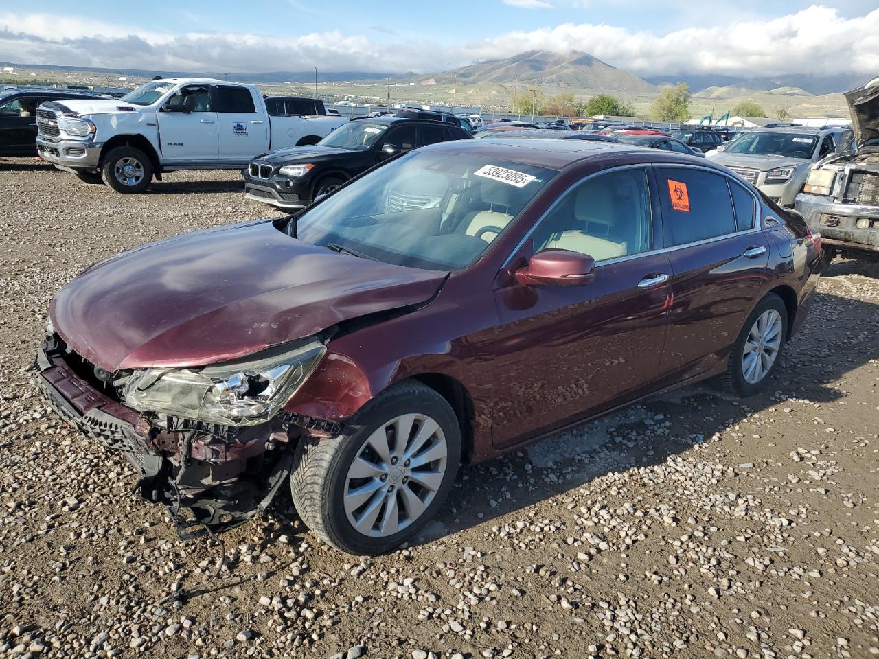 HONDA ACCORD EXL
