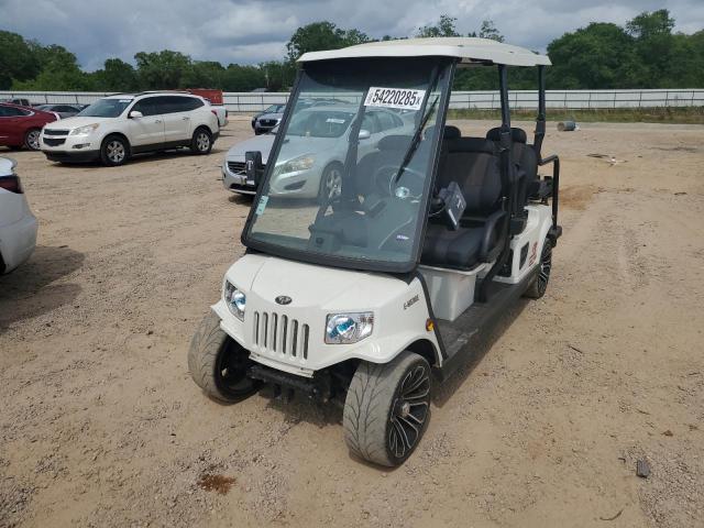 OTHER RV GOLF CART 2021 white   5FCDD13D7M2001608 photo #3