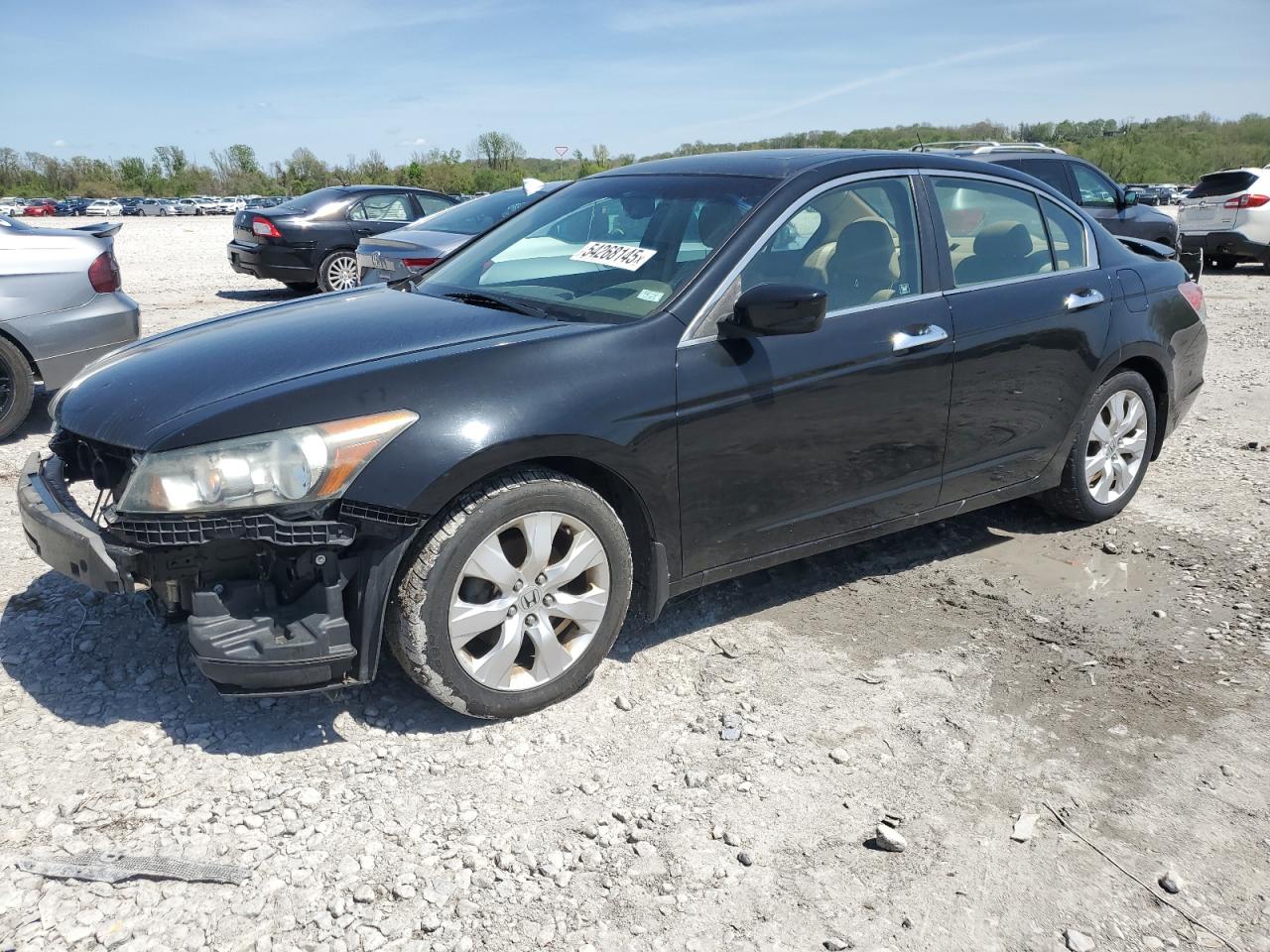 HONDA ACCORD EXL