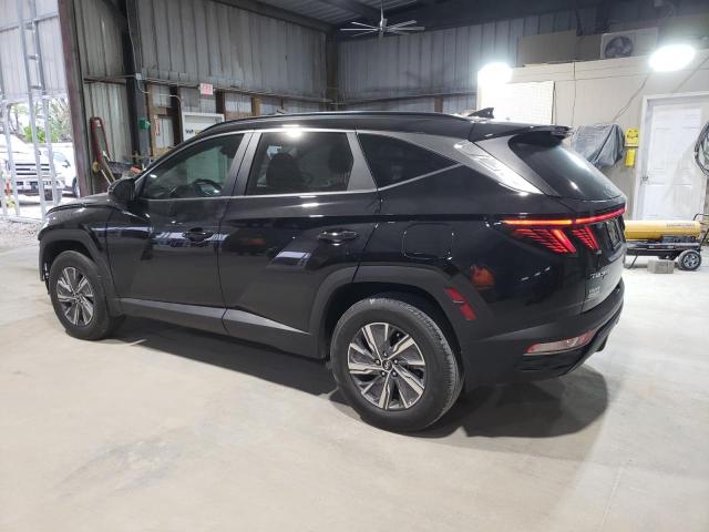 2023 HYUNDAI TUCSON BLU KM8JBCA11PU096839