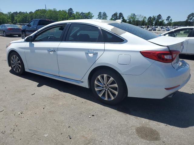 2017 HYUNDAI SONATA SPO - 5NPE34AF7HH509279