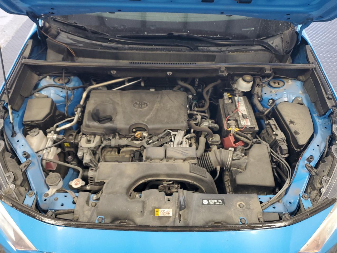 Lot #3305324332 2019 TOYOTA RAV4 XLE