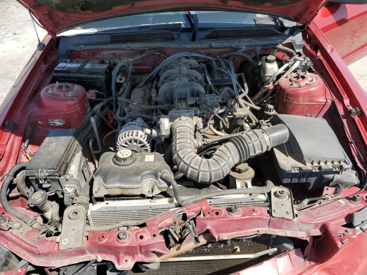 Lot #3266839063 2009 FORD MUSTANG