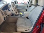 Lot #3303951685 2011 FORD ESCAPE XLT