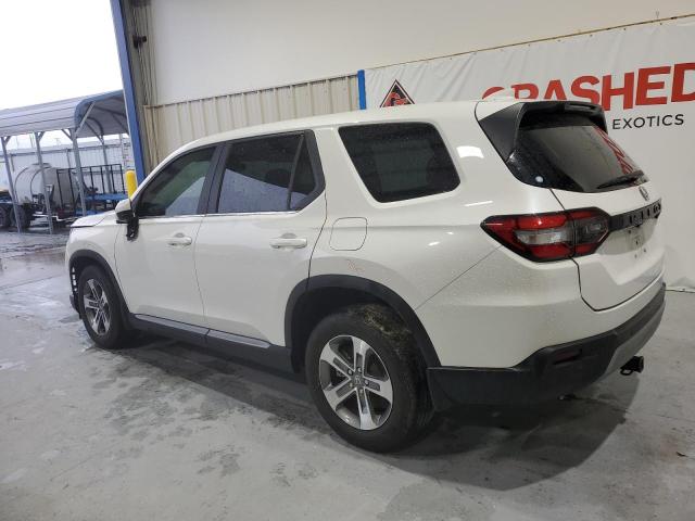 2024 HONDA PILOT EXL - 5FNYG2H51RB012747