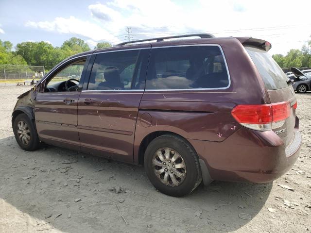 Vin: 5fnrl3h77ab042816, lot: 54773875, honda all models exl 20102