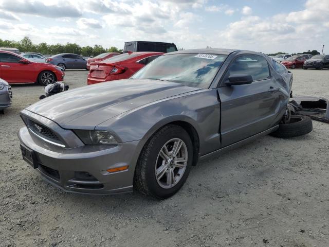 Vin: 1zvbp8amxd5202631, lot: 53133195, ford all models 2013 img_1