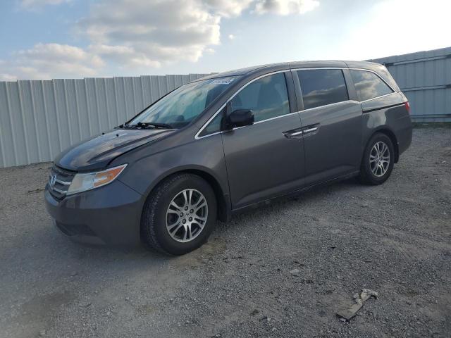 Vin: 5fnrl5h65db063509, lot: 51929045, honda all models exl 2013 img_1