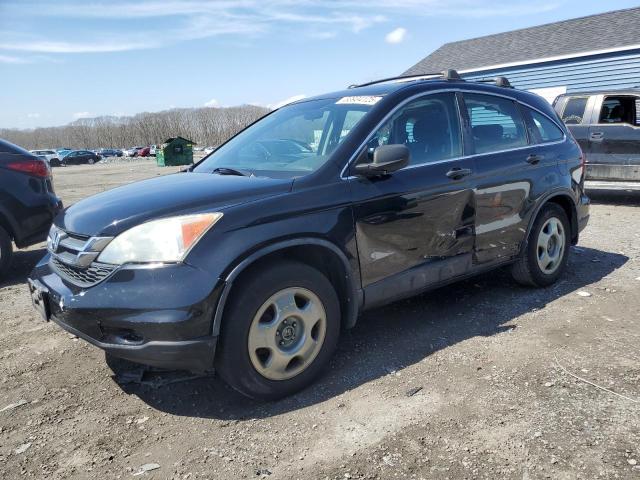 Vin: 5j6re4h34al039604, lot: 53934125, honda crv lx 2010 img_1