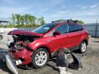 2017 FORD ESCAPE SE - 1FMCU0GD3HUE69920