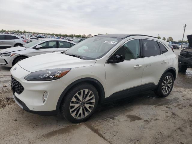 Vin: 1fmcu0dz6nua03278, lot: 53611395, ford escape titanium 2022 img_1