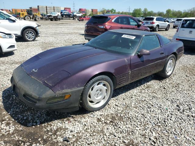 Vin: 1g1yy23p1n5101440, lot: 55160665, chevrolet corvette 1992 img_1