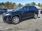 2019 TOYOTA RAV4 LE - JTMF1RFV8KD002525