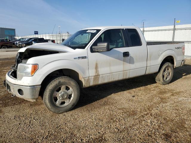 Vin: 1ftfx1ef0dfc59079, lot: 53088745, ford f-150 super cab 2013 img_1