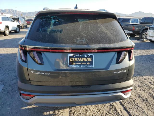 2025 HYUNDAI TUCSON LIM - KM8JEDD14SU275376