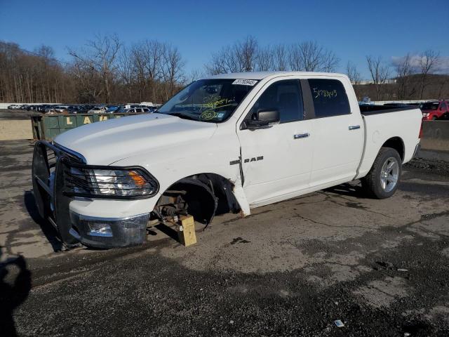 Vin: 1d7rv1ct0as154045, lot: 51783945, dodge all models 2010 img_1