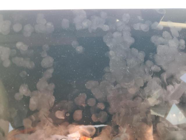 2022 TESLA MODEL 3 - 5YJ3E1EA3NF372074