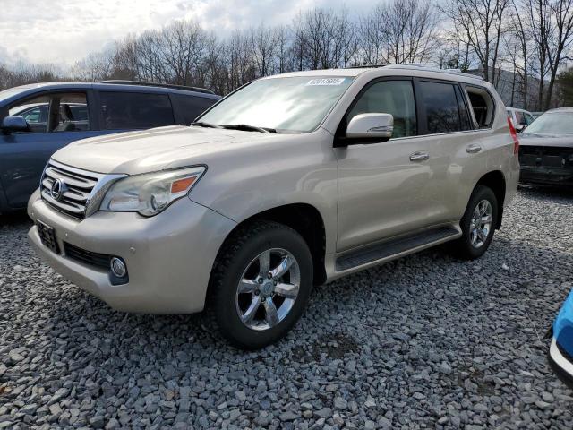 LEXUS GX 460
