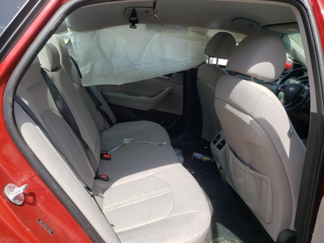 2019 HYUNDAI SONATA LIM 5NPE34AF0KH734330