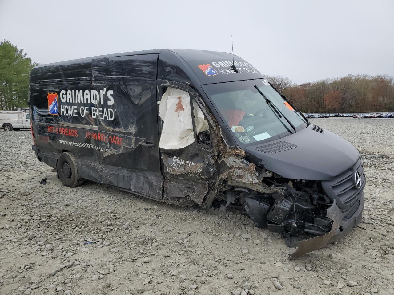 MERCEDES-BENZ SPRINTER 2500