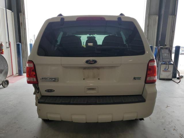 2010 FORD ESCAPE XLT - 1FMCU9DG8AKC66221
