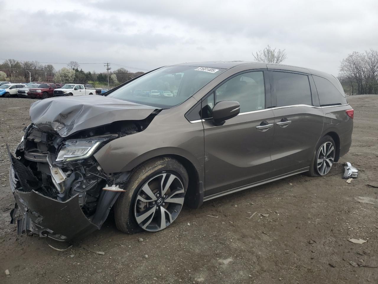 HONDA ODYSSEY ELITE