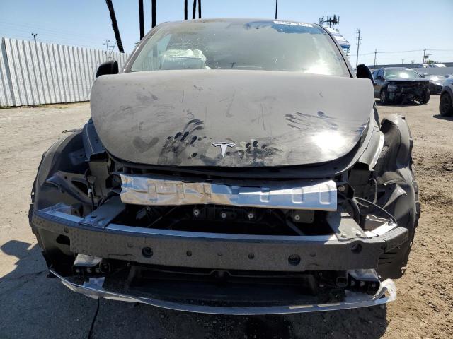 2023 TESLA MODEL Y 7SAYGDEE4PA031239