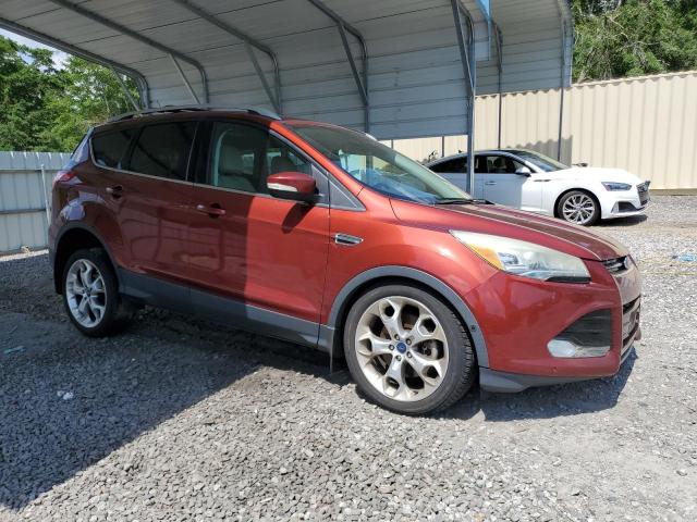 2014 FORD ESCAPE TIT - 1FMCU9J90EUE34952