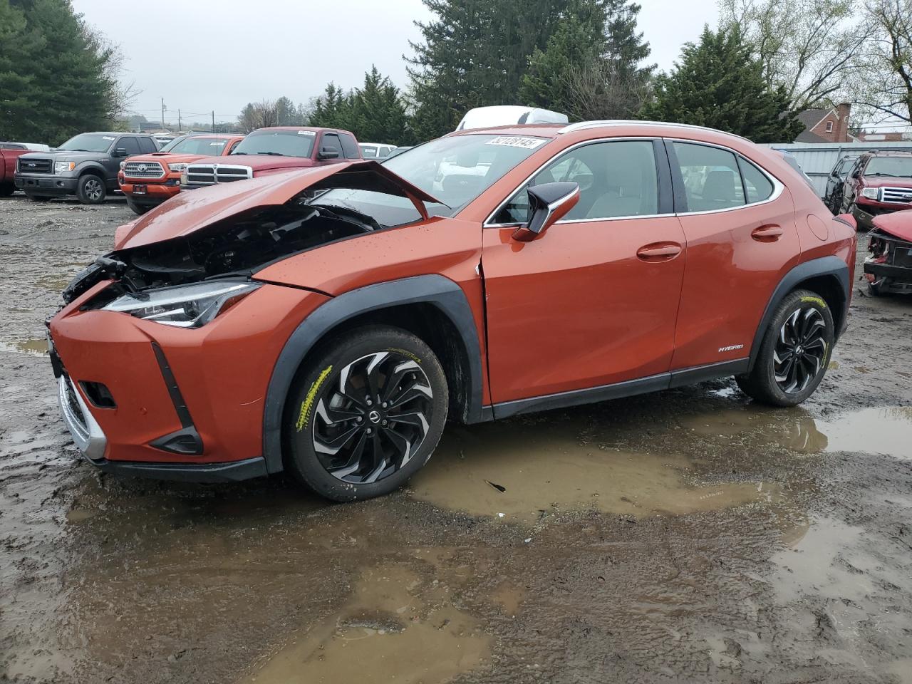 LEXUS UX 250H