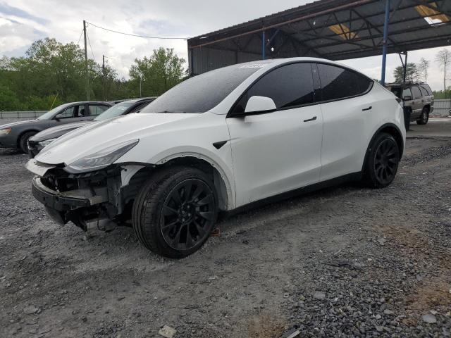 Vin: 7saygdee8nf368061, lot: 52949445, tesla model y 2022 img_1