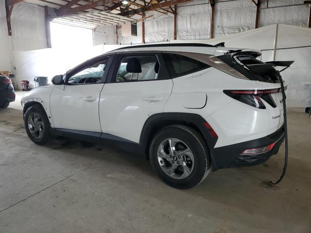 Vin: 5nmjb3ae9ph183046, lot: 54168005, hyundai tucson sel 20232
