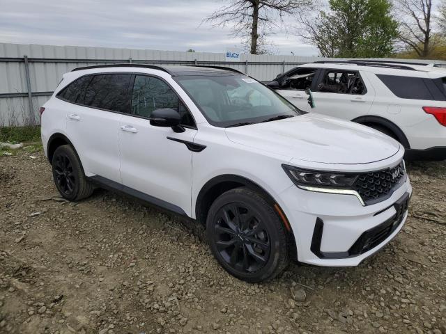 Vin: 5xyrkdlf7pg250462, lot: 53336125, kia sorento sx 20234
