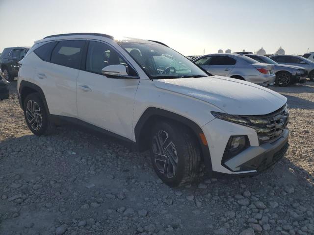 2025 HYUNDAI TUCSON LIM - 3KMJE3DE9SE018758