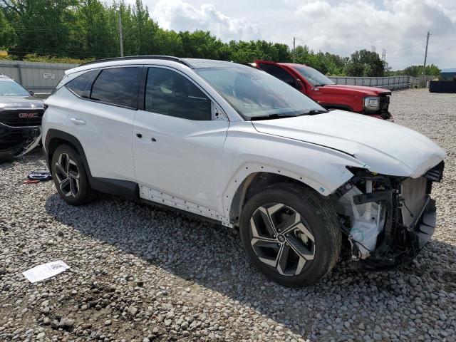 Vin: 5nmje3ae0ph255100, lot: 55281185, hyundai tucson limited 20234