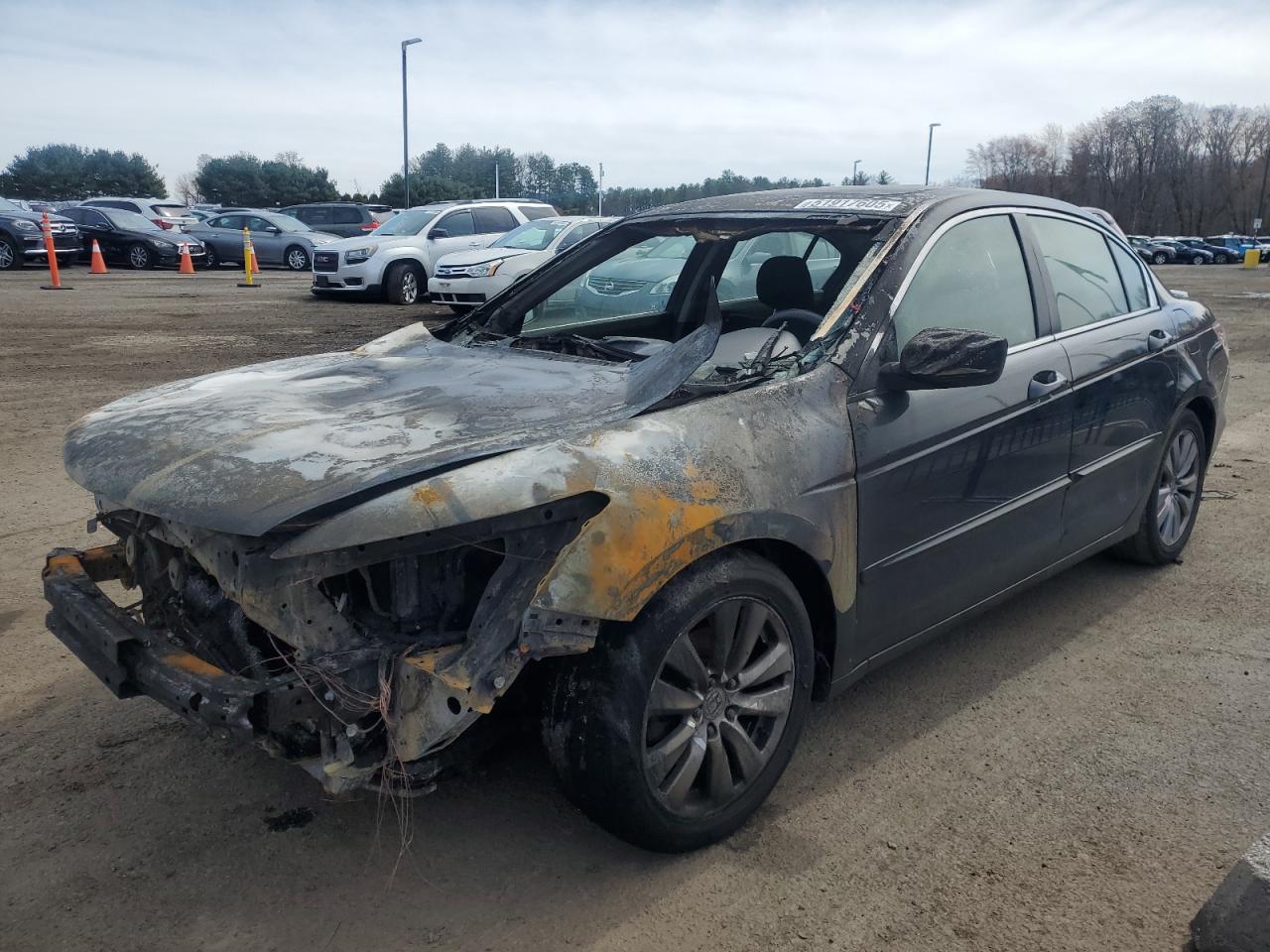HONDA ACCORD EX