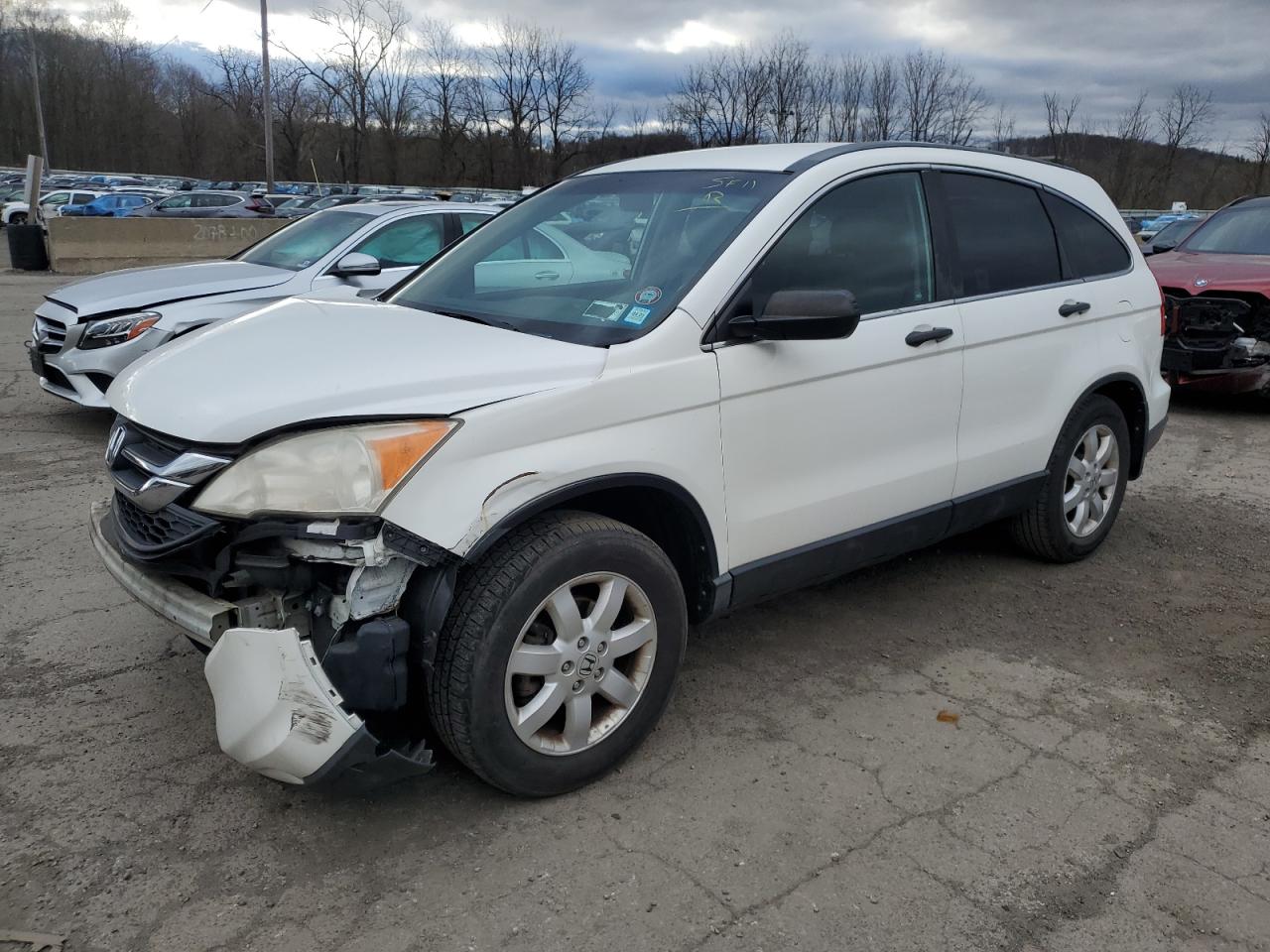 HONDA CR-V SE